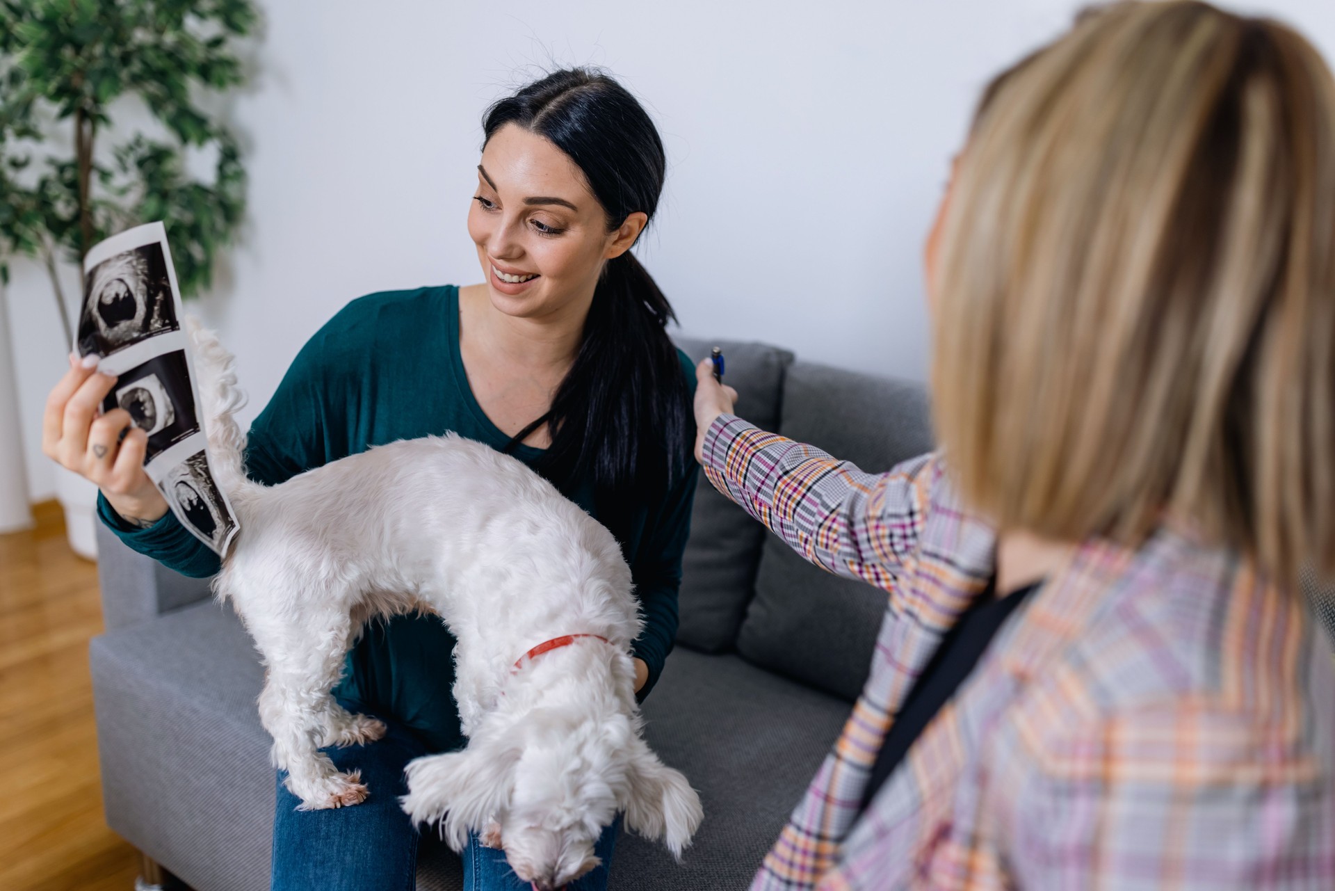 Expectant mother seeks guidance from her empathetic psychotherapist